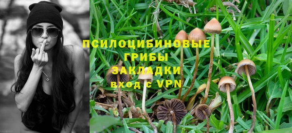 наркотики Богданович