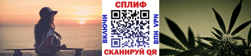 что такое наркотик  Новый Оскол  Бошки марихуана тримм 